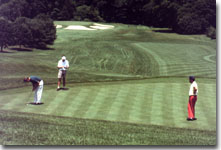 This is a photograph of a golf course with golfers on the green.